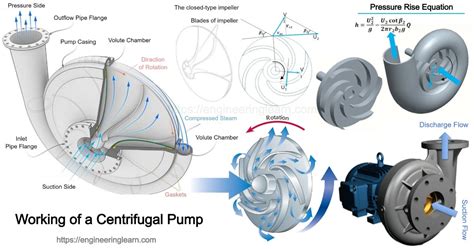 Centrifugal Pump G Force|centrifugal forces explained.